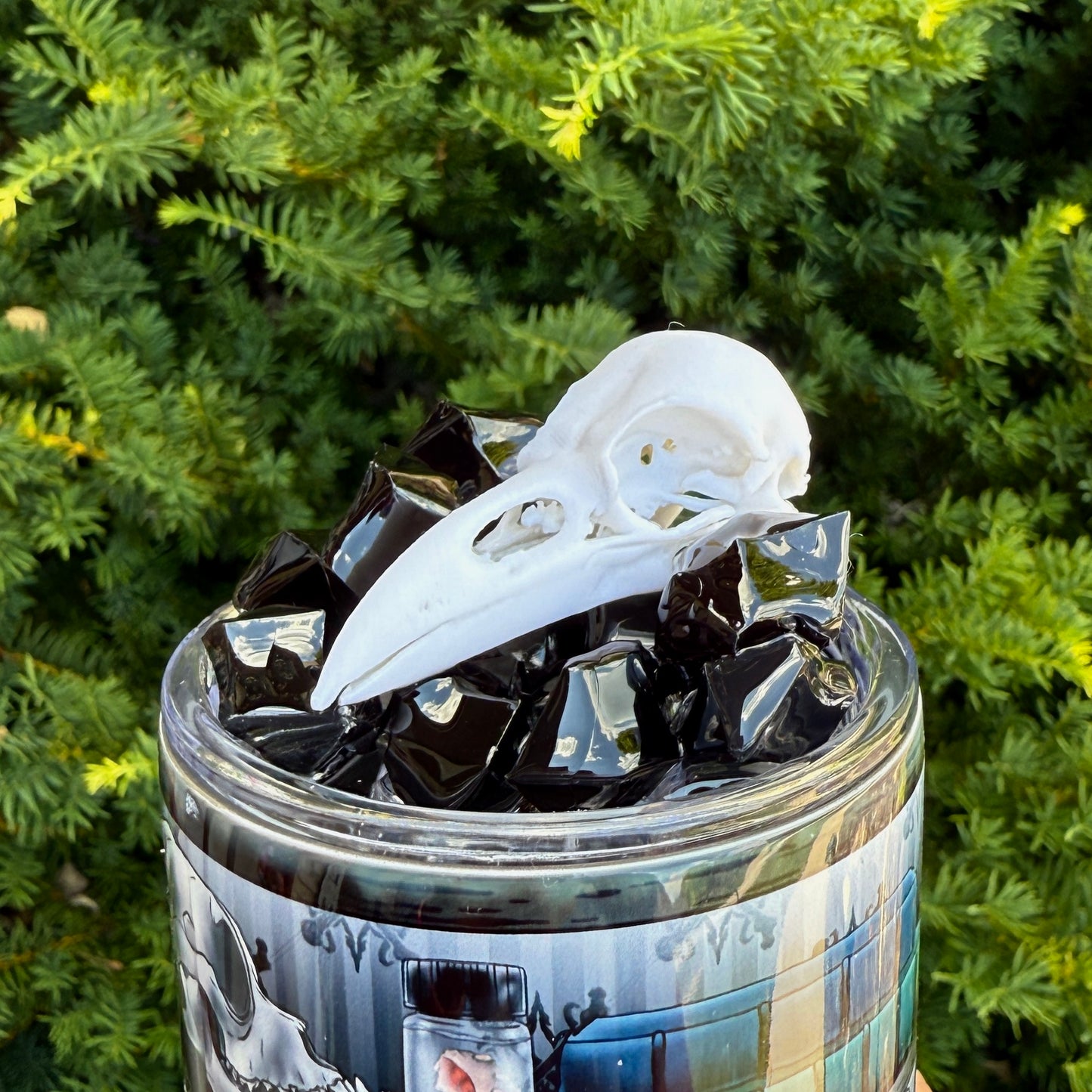 Oddities Shelf Tumbler