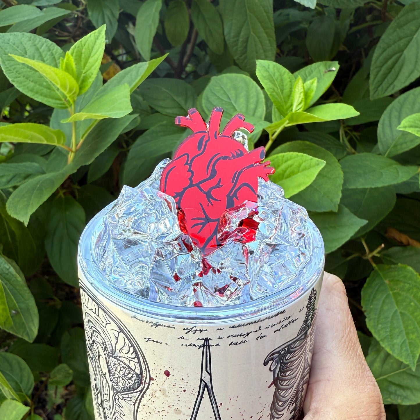 Human Anatomy Tumbler