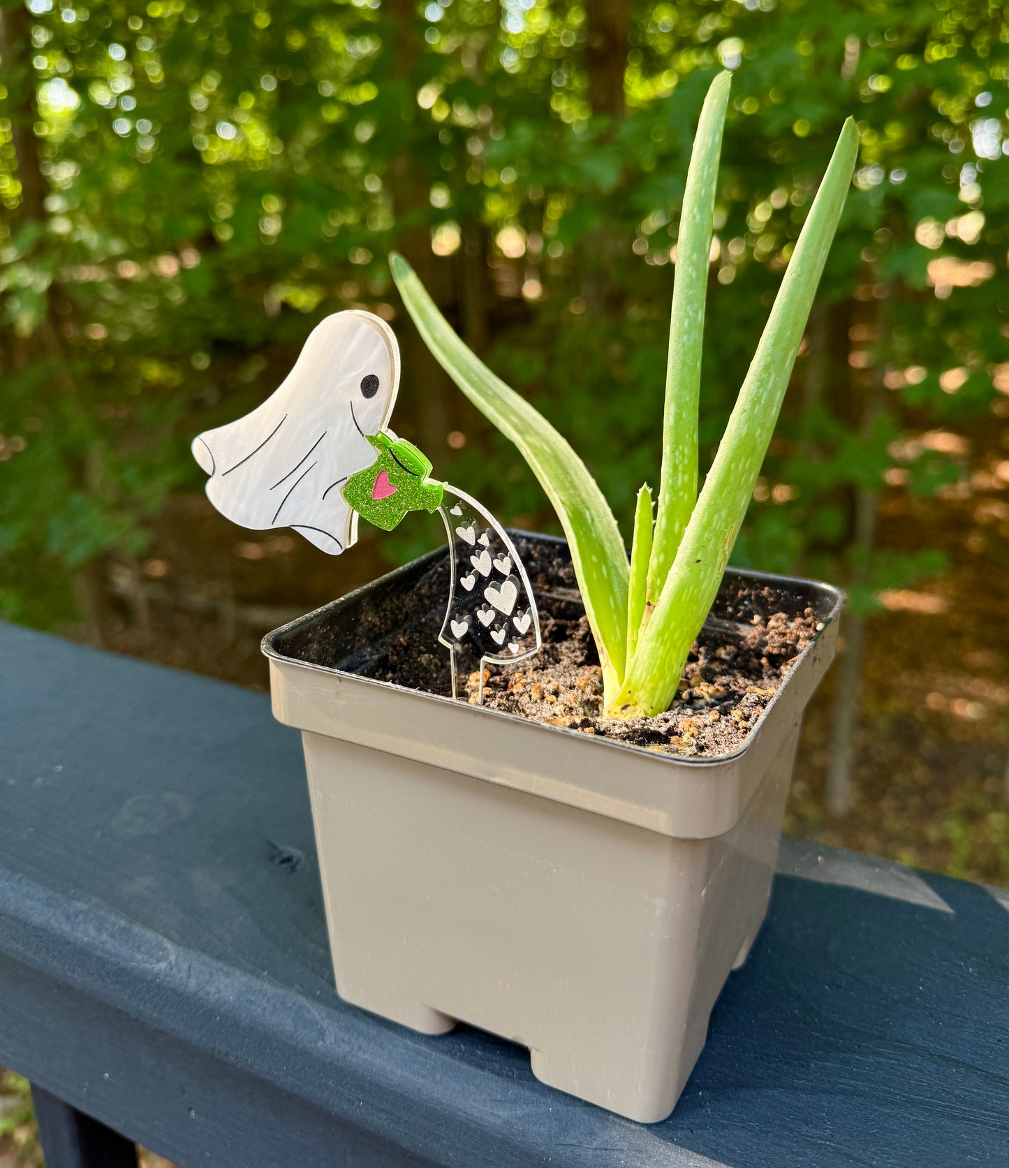 Ghost Plant Stake