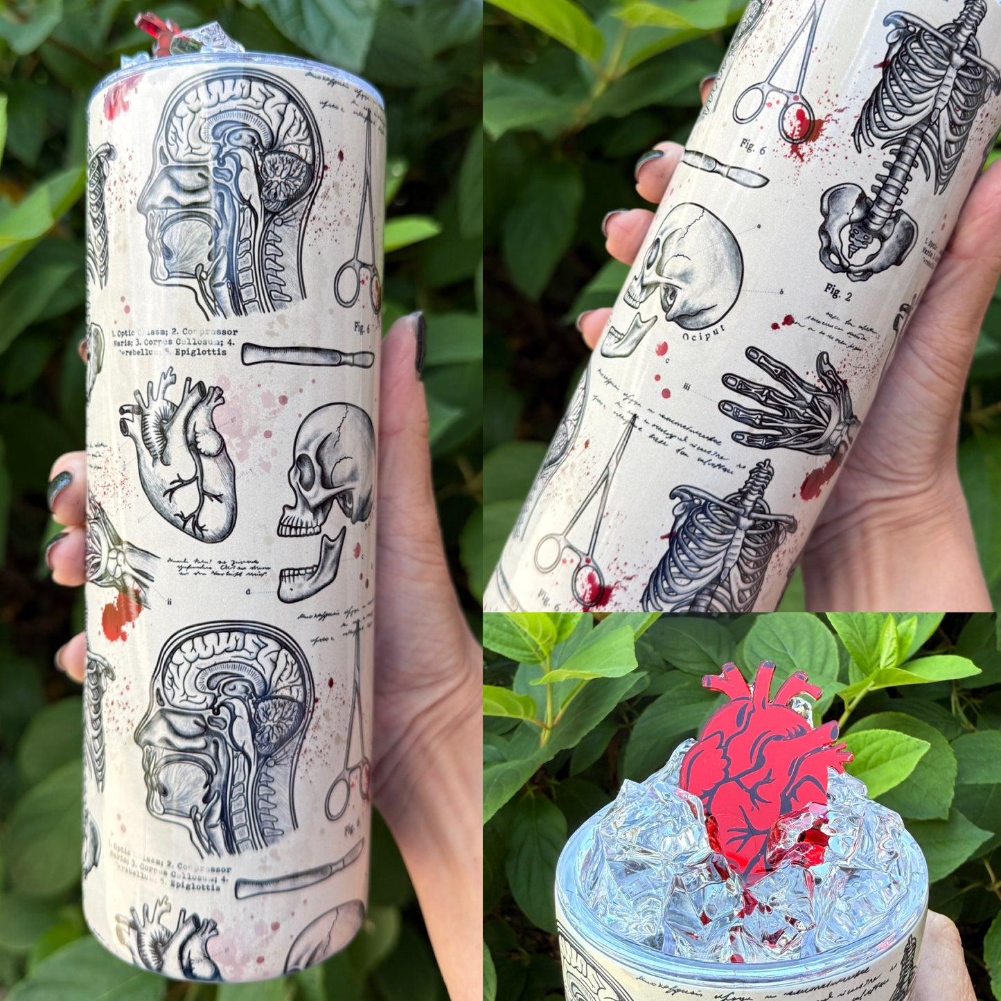 Human Anatomy Tumbler