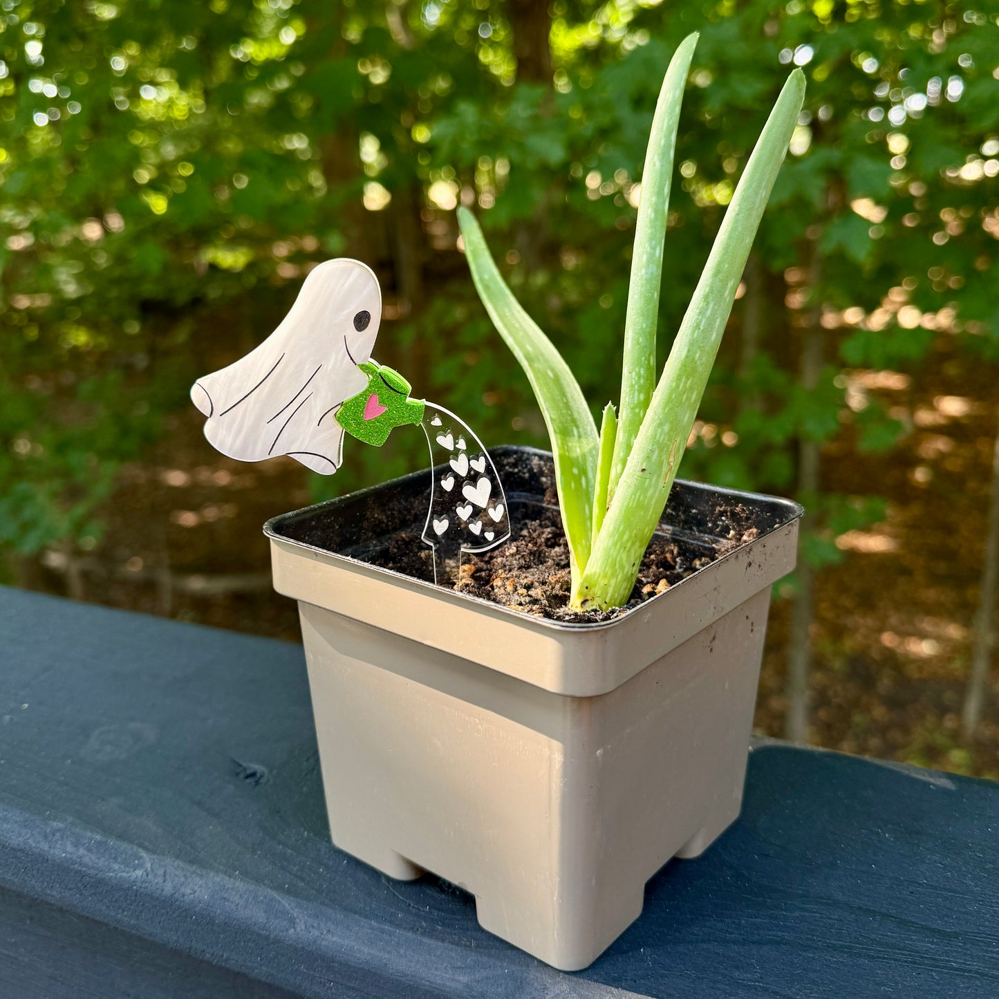 Ghost Plant Stake