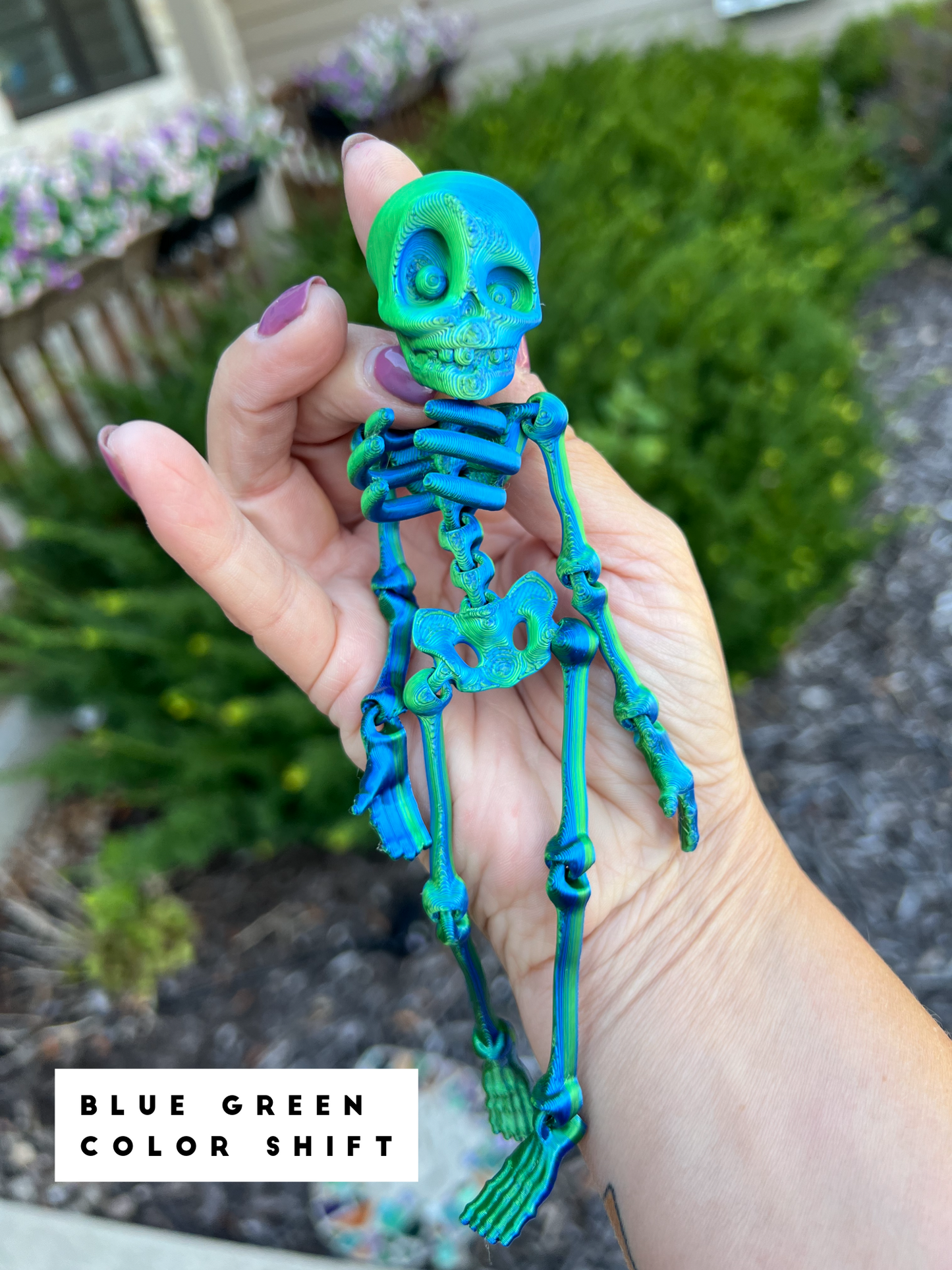 3D Printed Skeleton (Multiple Colors Available)