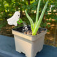 Ghost Plant Stake