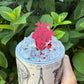 Human Anatomy Tumbler