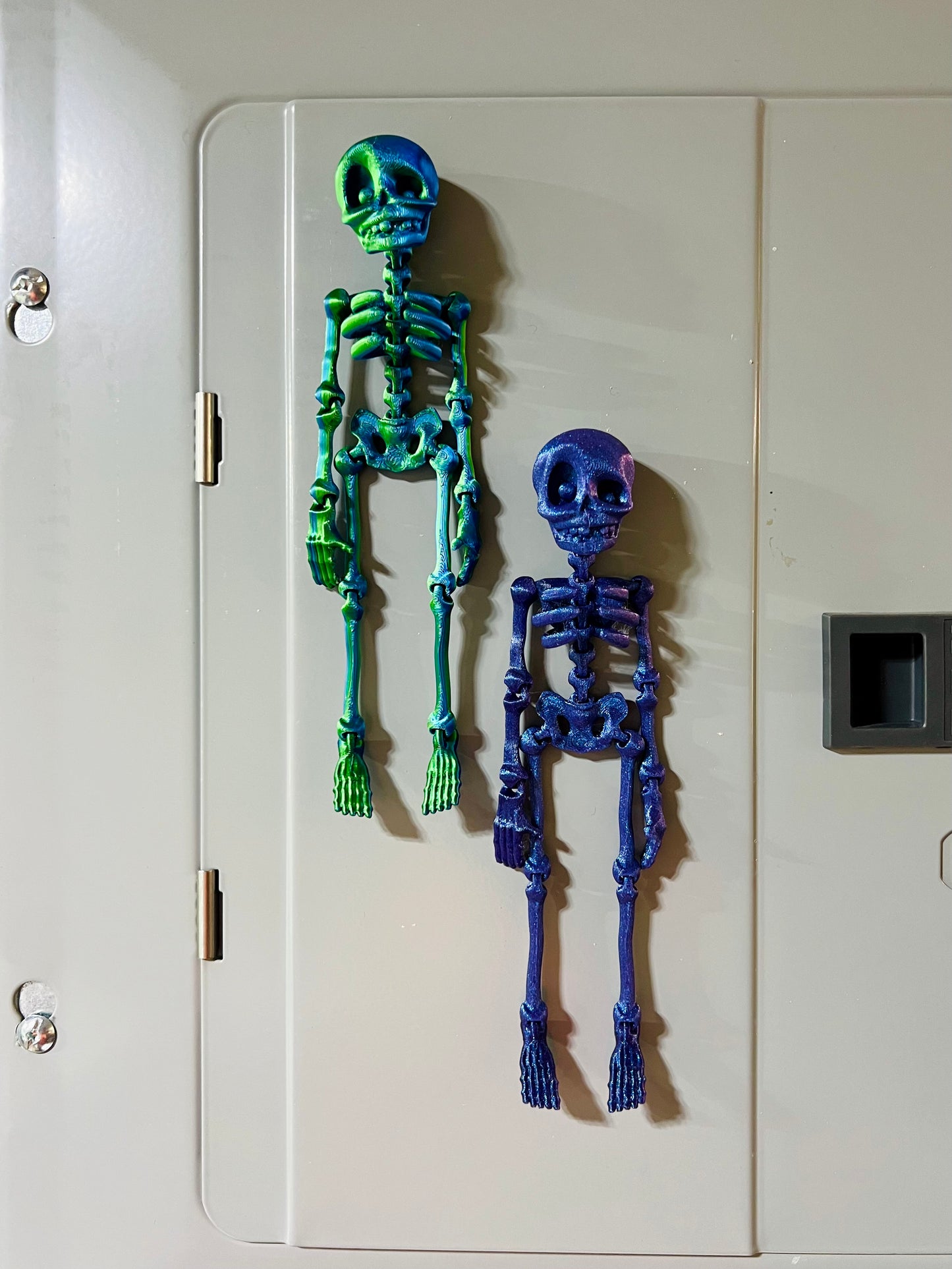 3D Printed Skeleton (Multiple Colors Available)