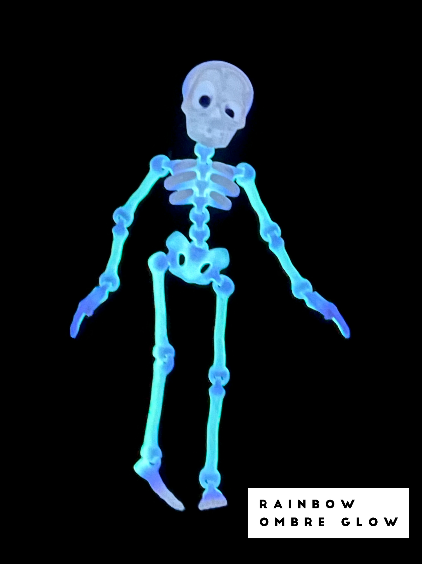 3D Printed Skeleton (Multiple Colors Available)