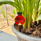Ladybug Dangles