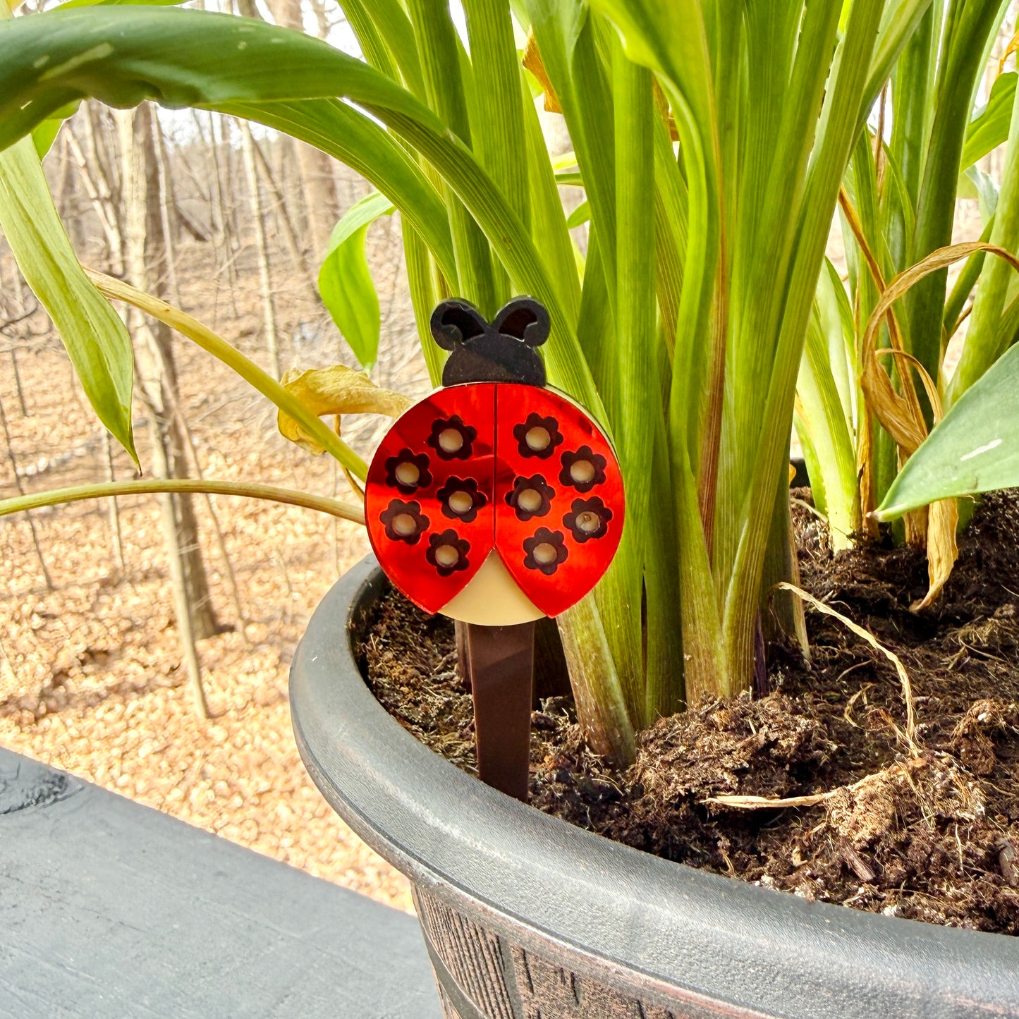 Ladybug Dangles