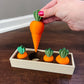 3D Printed Carrot Garden